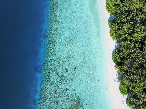 Hotel FIHALHOHI ISLAND RESORT wakacje