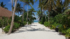 Hotel CINNAMON VELIFUSHI wakacje
