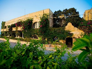 Hotel CORNUCOPIA wakacje