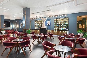 Hotel PICKALBATROS WHITE BEACH RESORT wakacje