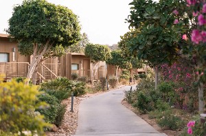 Hotel RADISSON BLU RESORT TAGHAZOUT BAY SURF VILLAGE wakacje