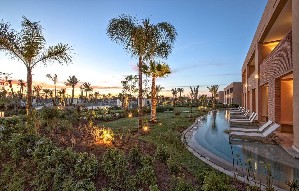 TERRACE GARDEN