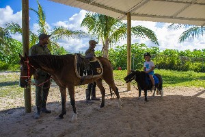 Hotel CRYSTALS BEACH RESORT BELLE MARE wakacje