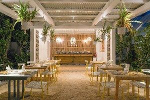 Hotel TROPICAL ATTITUDE wakacje