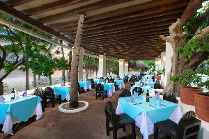Hotel OASIS PALM wakacje