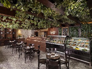 Hotel HARD ROCK HOTEL RIVIERA MAYA wakacje