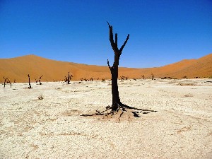 Poust Namib 5