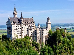 IMG_2981
