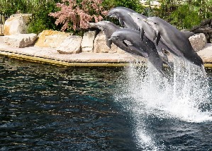 Norimberk ZOO