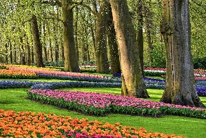 Nizozemsko, Amsterdam a okolí, Amsterdam - Holandsko - Země tulipánů, autobusem