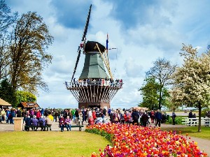 Květinové korzo - za tulipány do Holandska - zájezd