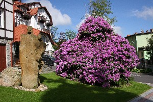 Hotel PARK HOTEL KUR & SPA wakacje