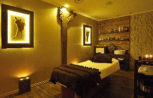 Hotel KORMORAN MEDISPA wakacje