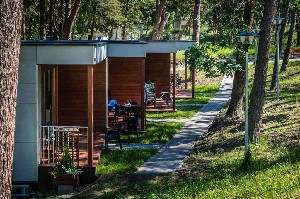 (Polsko, Pomořské vojvodství, Pomořské vojvodství) - NAT KRYNICA MORSKA: Pobyt s plnou penzí