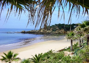 Beach
