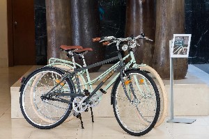 Bike rental