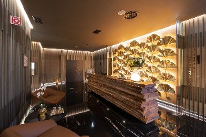 Spa and wellness