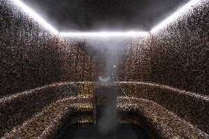 Spa and wellness