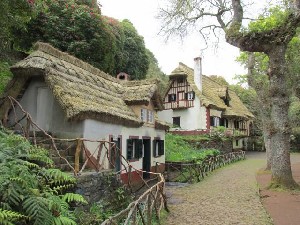 Portugalsko, Madeira, Funchal - Květinový ostrov Madeira