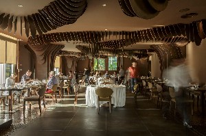 Hotel THE VINE wakacje