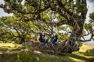 Madeira_vavrinovy_les_Fanal_Radynacestu_foto_Pavel_Spurek.jpg