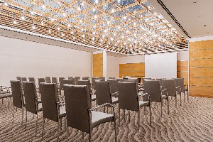 Conference Facilities