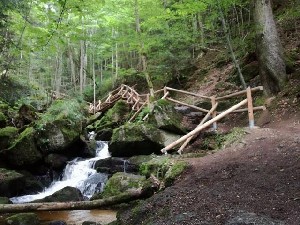 ysperklamm2_3882_l