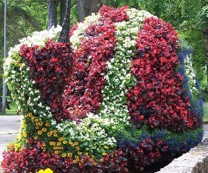 tulln_2467_o.jpg