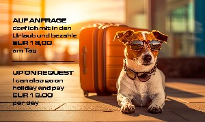 Hotel PANORAMAHOTEL TRAUNSTEIN wakacje