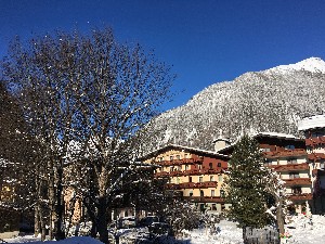 Hotel FERIENHOTEL ALBER wakacje