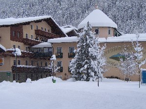 Hotel FERIENHOTEL ALBER wakacje