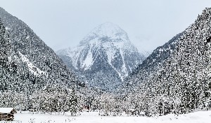 Hotel ALPINA wakacje