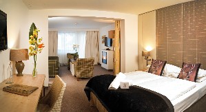 Hotel DAS ALPENHAUS KAPRUN wakacje