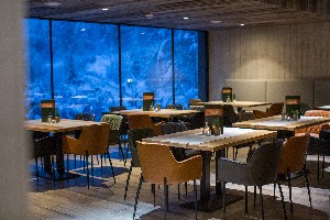 Hotel DER WALDHOF wakacje