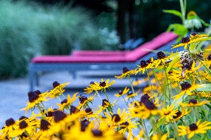 Hotel LATINI wakacje