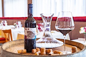 Hotel LATINI wakacje