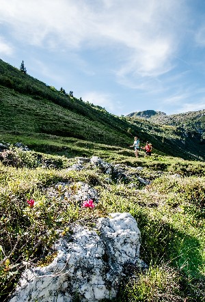 Hotel FAMILIEN- UND WELLNESSHOTEL DER HANNESHOF - DAS MONTANA wakacje