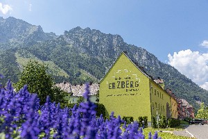 Hotel ERZBERG ALPIN RESORT BY ALPS RESORTS wakacje