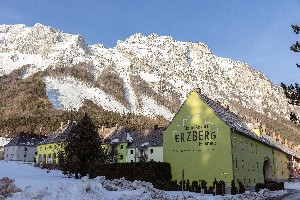 Hotel ERZBERG ALPIN RESORT BY ALPS RESORTS wakacje