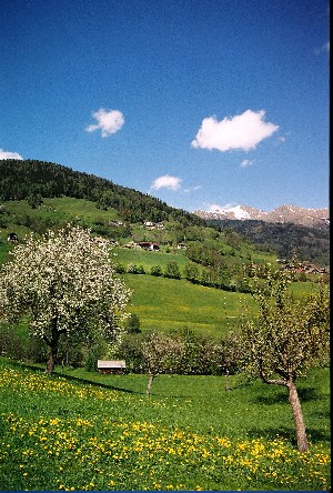 Hotel STIGENWIRTH wakacje