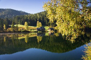 Hotel AKTIVHOTEL WEIßER HIRSCH wakacje