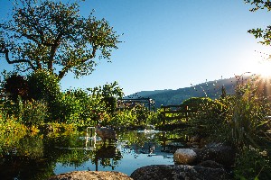 Hotel AKTIV UND WELLNESSHOTEL KOHLERHOF wakacje