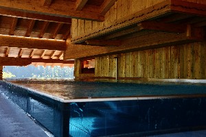 Hotel DIE ALPBACHERIN wakacje