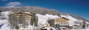 Berghotel Ronach