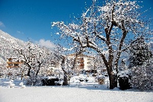 Hotel LANDGUT ZAPFENHOF wakacje