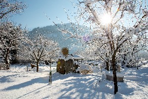 Hotel LANDGUT ZAPFENHOF wakacje