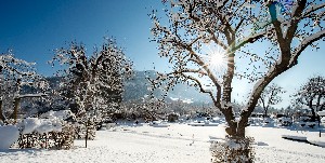 Hotel LANDGUT ZAPFENHOF wakacje
