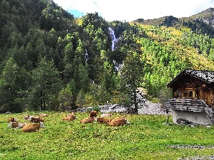 Hotel SCOL SPORTHOTEL GROßGLOCKNER wakacje