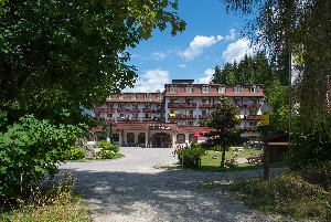 Hotel ALPENHOTEL WEITLANBRUNN wakacje