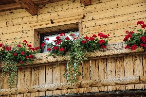 Hotel GASTHOF TRAUBE wakacje